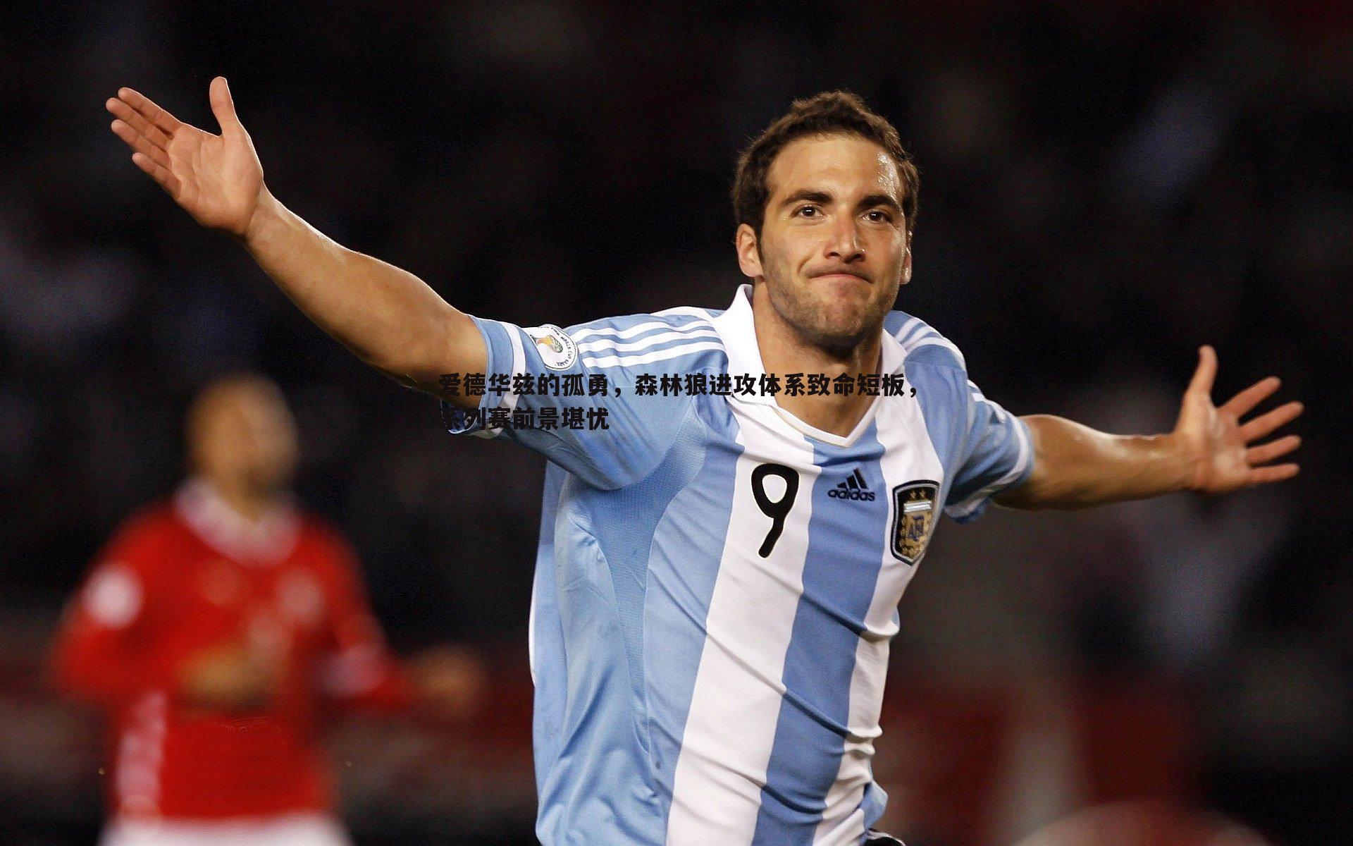 爱德华兹的孤勇，森林狼进攻体系致命短板，系列赛前景堪忧