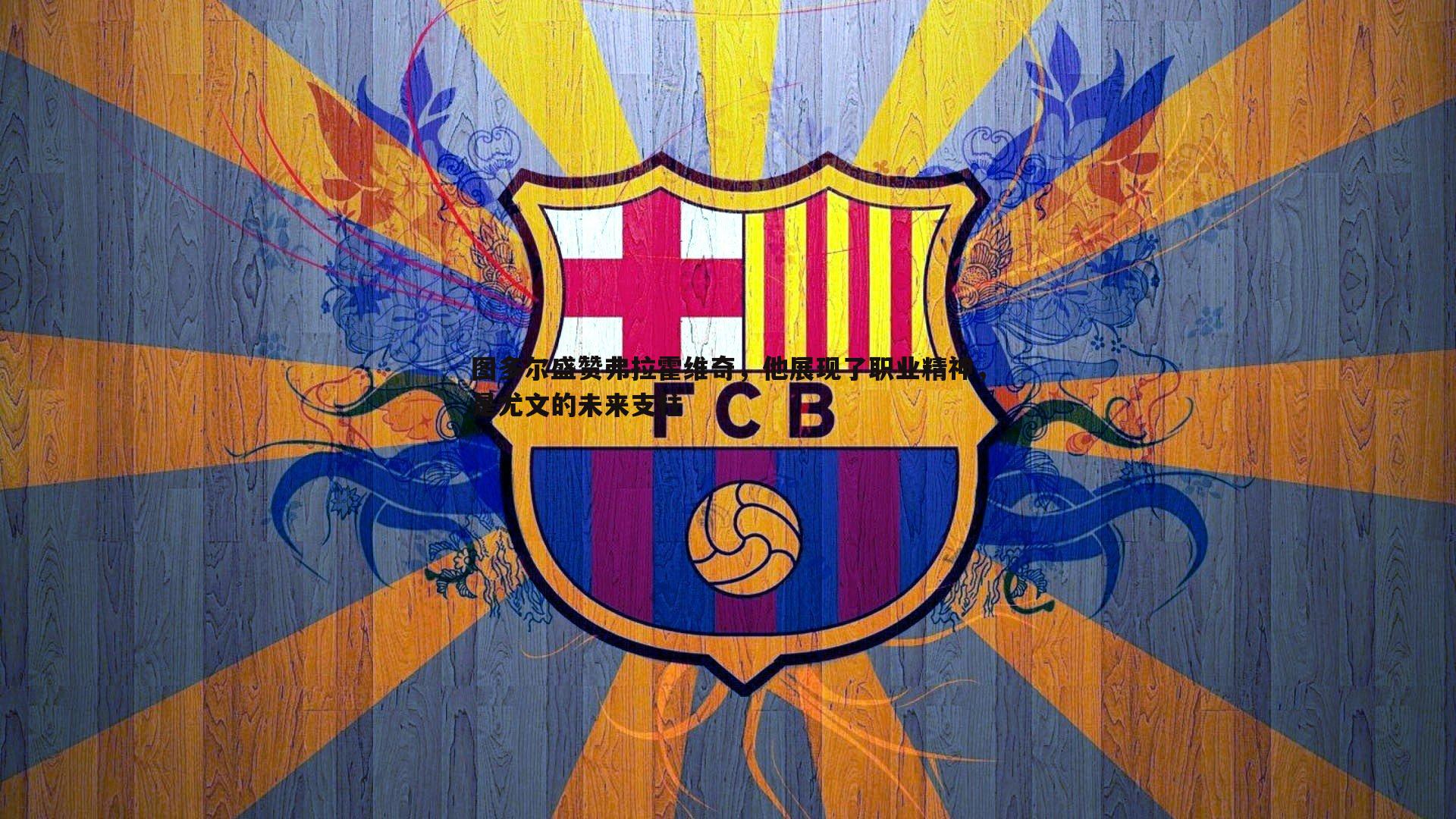 图多尔盛赞弗拉霍维奇，他展现了职业精神，是尤文的未来支柱